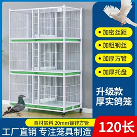 鸟笼;猫猫窝/笼/垫