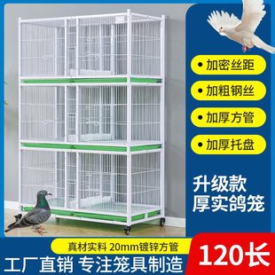 ���ӻ\�Ӵּ����䌦�\������������бP�Ӵ���Ӽ����B�\���ӻ\