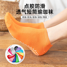 �m�����l �c�z����͸���޶�Ͳ����m ��13ɫ�ٴ�m�ӬF؛�ɻ���