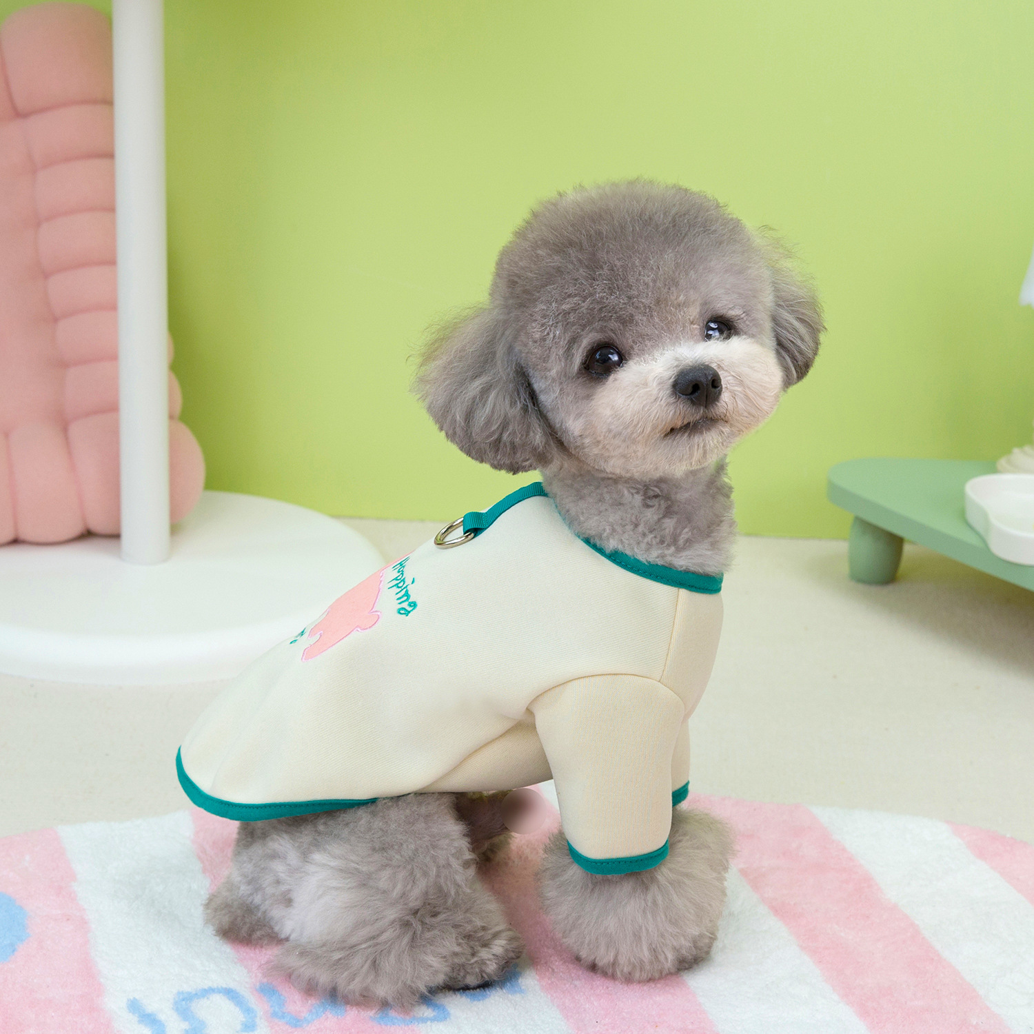 2024 primavera y otoño ropa de invierno de dos patas de dibujos animados ropa de mascotas gatos Teddy perros ropa de perro al por mayor transfronteriza