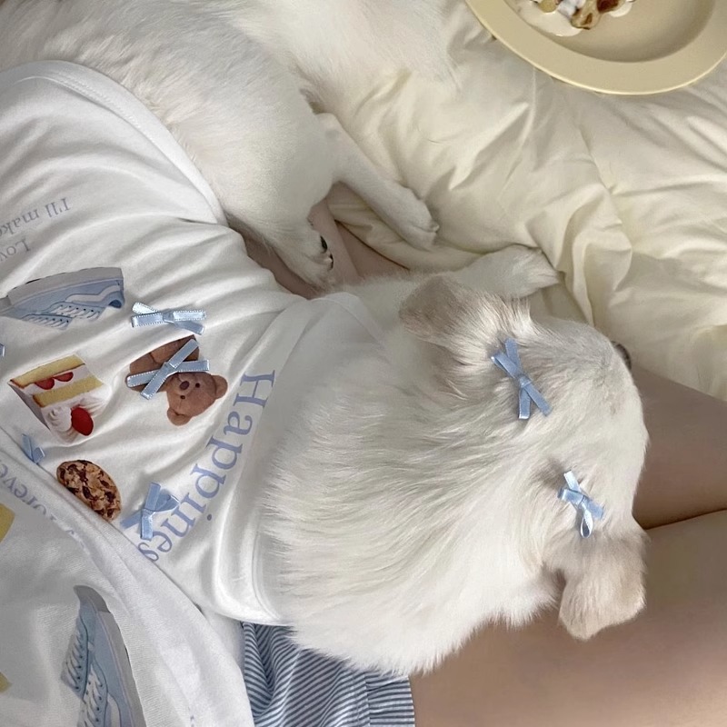 Primavera y verano perros adorables arcos offset impresión chaleco de pastel de oso coreano adorable gato camiseta ropa de mascotas