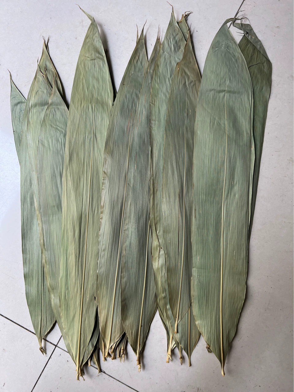 Zongye оптовая продажа бамбуковых листьев Фестиваль лодок-драконов Zongzi 50 кг весь пучок листьев Ruo коммерческие товары