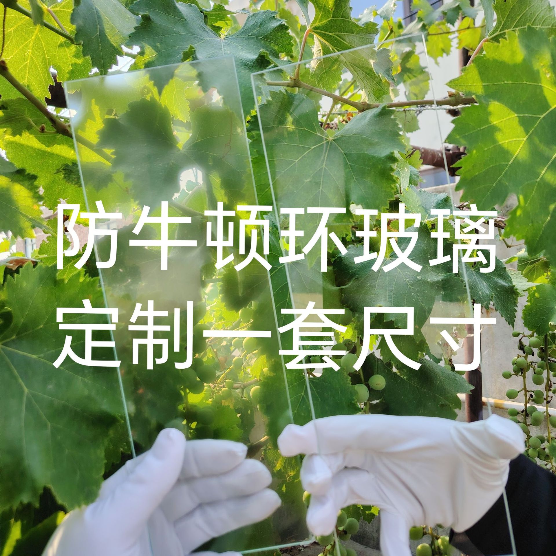 微信图片_20250617170638