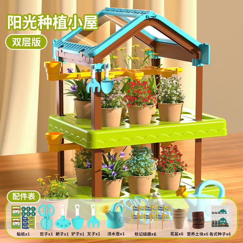 [절묘한 선물 상자] 더블 태양 방 6 씨앗 세트