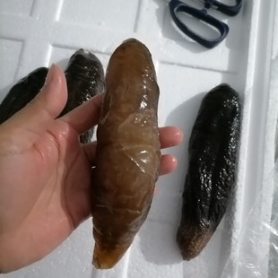 �х������Ӆ�ȥ������؛�������l���ɺ�������I�B���a