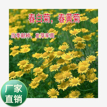 �ջ��N�Ӵ��S�շN�Ӷ������޸����܈@�־��^�G�����̻��N��