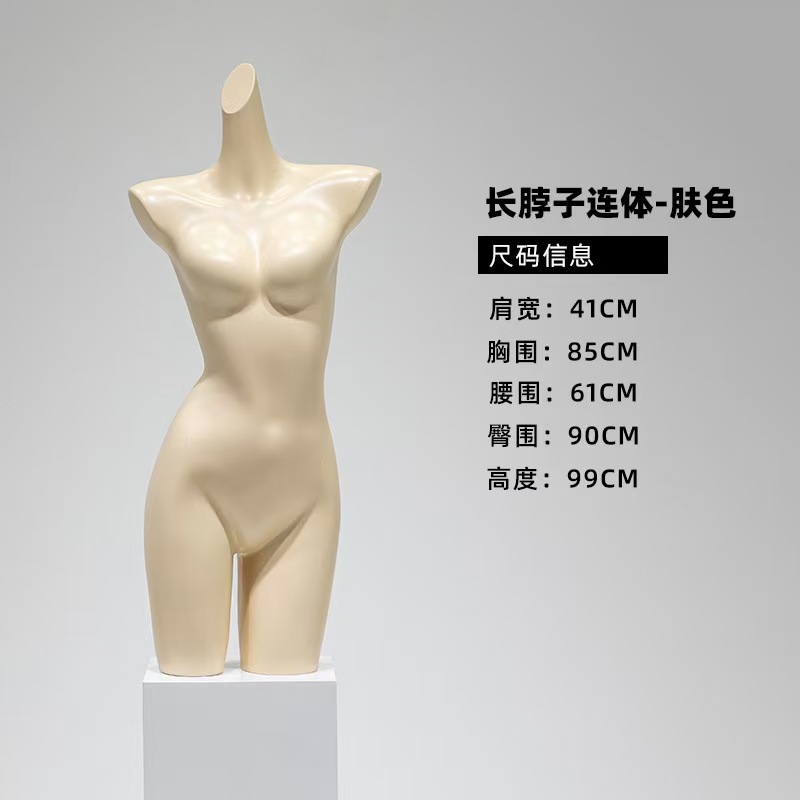 여성의 납작한 어깨 반모델 피부색