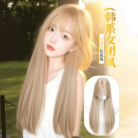 假发马尾;假发长卷发;其他假发