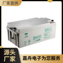 \늳NPL220-12 12V220AHֱ 늙 C EPS