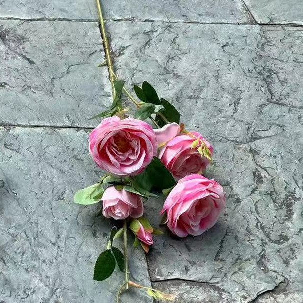 6 té francés rosa profundo