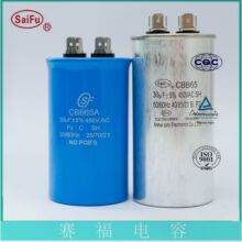 ِ��  ���{������ 80&mu;F  �����