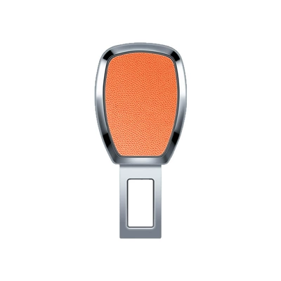 Other Automotive Interior Supplies: Rear Seat Safety