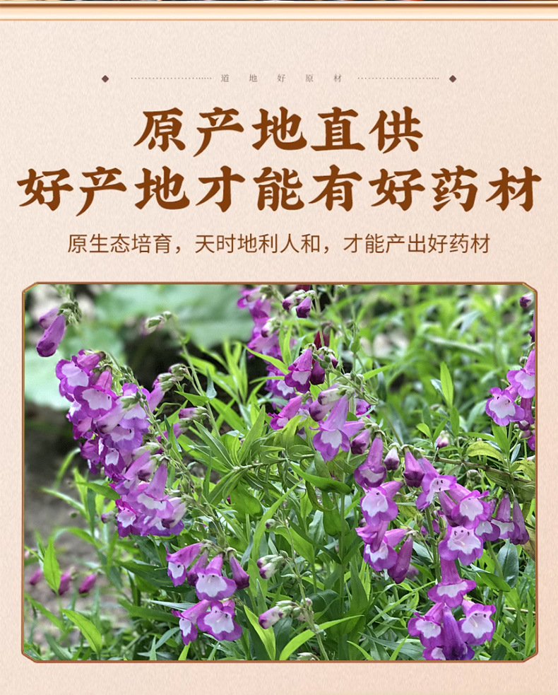 Dried Zicao Purple Gromwell Root 500g Hand Selected Arnebia Lithospermum Traditional Chinese Herb key features