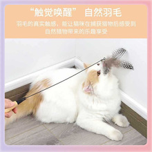 ?�S�����l���ľ�����ɶ�؈�� ��ë��K؈�以�Ӷ�؈��؈��߶�