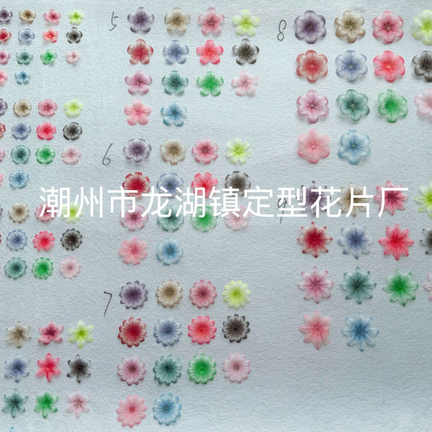 2025-02-26 15:40:46.jpg