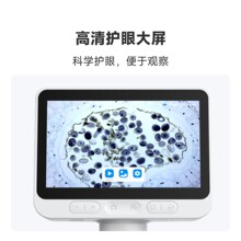 ����������@΢�R�����yʽ���܃�ͯ��W������ӷŴ󌣘I�@΢�R