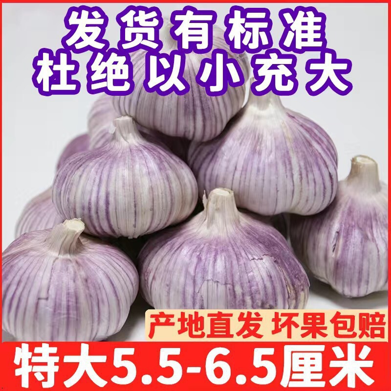 【激安】金祥紫皮ニンニク 新乾燥ニンニク 乾燥ニンニク 大粒生ニンニク 箱入り|undefined