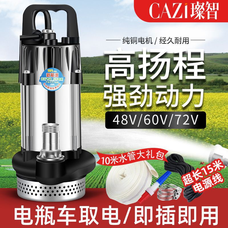 无刷直流潜水泵48V60V72V插电瓶车电动车抽水泵家用农用铸铁其它