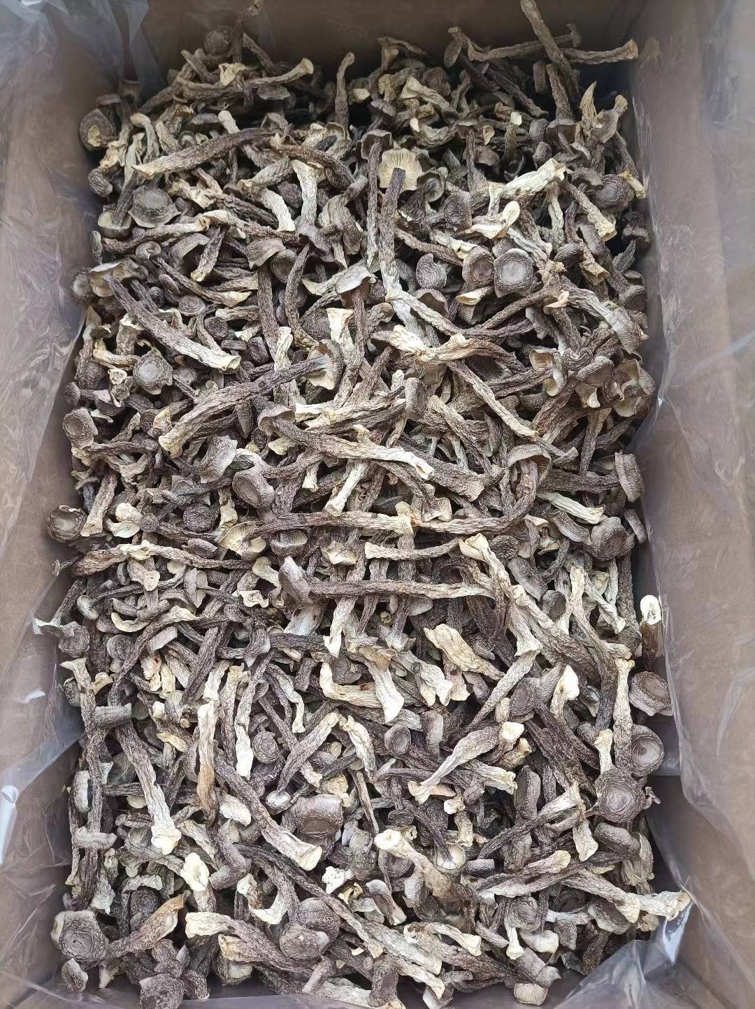 b4d07d6b211dbdd781fd18f9c45696