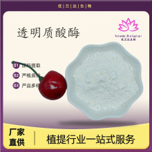 ͸���|��ø98% ������ø ʳƷ��ԭ�Ϸ�ĩʳ��ø�Ƅ� ͸���|��F؛