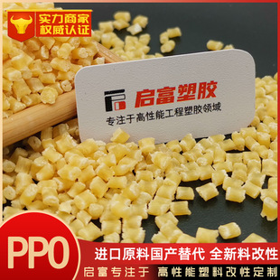 PPO Raw Material Domestic Substitution Imported 540Z PX9406P SE1X 731S SE100X GFN20F 540V