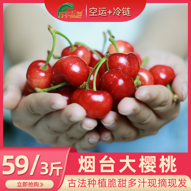 In-Stock Shandong Red Cherry, Meizao Large Cherry, Sour-Sweet Cherry, Fresh Fruit, Domestic Cherry, Seasonal, Suitable for Pregnant Women