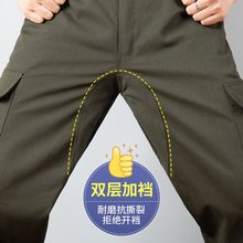 ���޹���������ѝ�әn������ĥ���؄ڱ�ѝ���Lѝ늺����bѝ���C