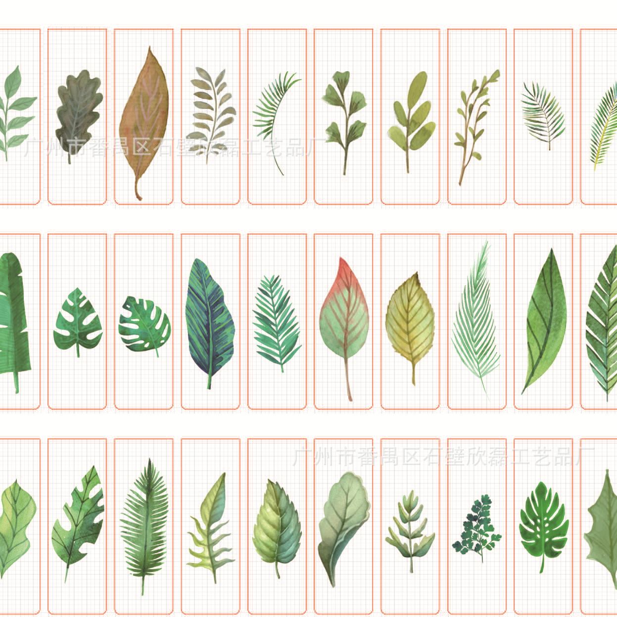 热带植物叶子设计20210306_cr