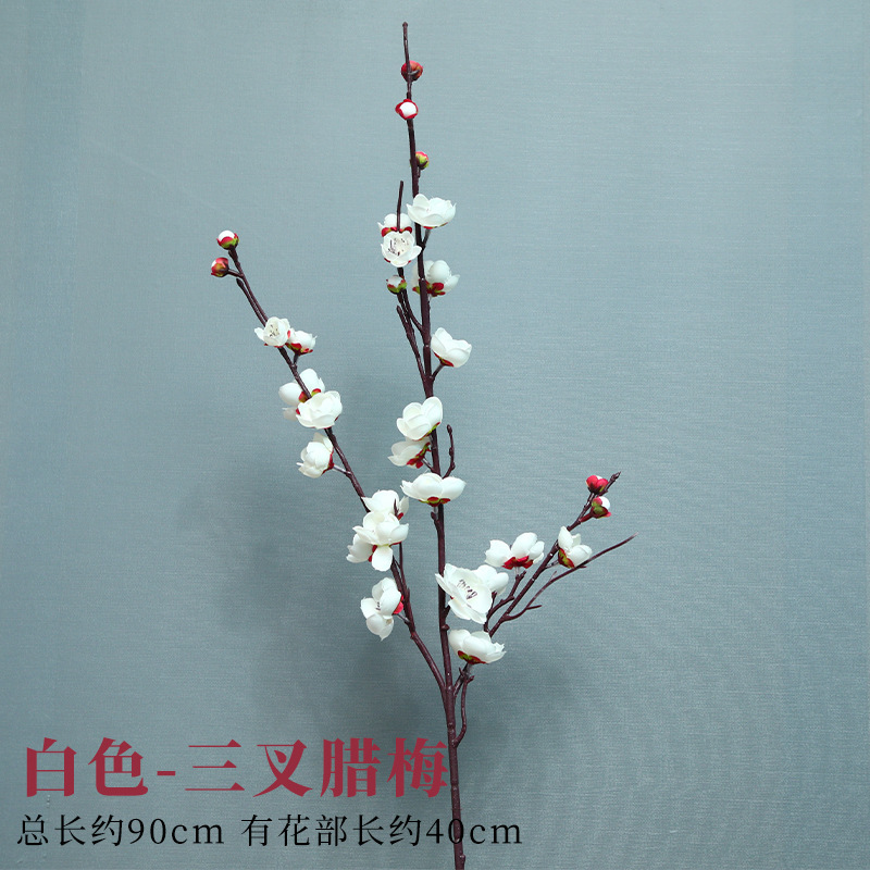 세 갈래의 하얀 자두