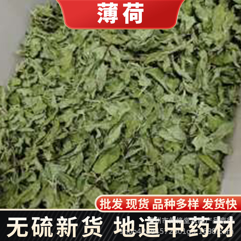 Mint, Peppermint, Herbal Tea, Mint Tea, Mint Leaves, Pet Raw Materials, Chinese Medicinal Herbs Mint, Peppermint, Herbal Tea, Mint Tea, Mint Leaves, Pet Raw Materials, Chinese Medicinal Herbs