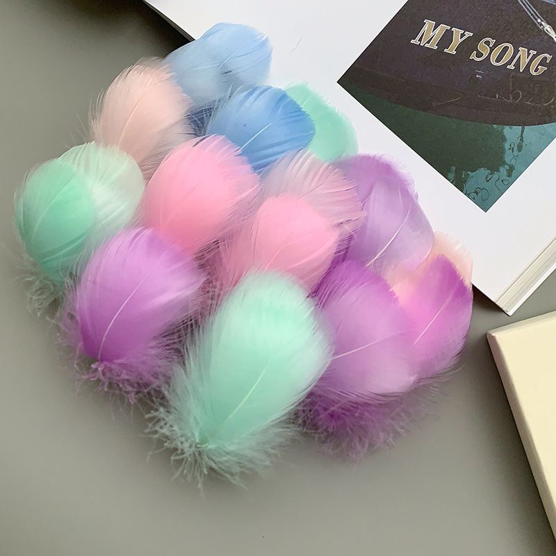 Whole Pound Wholesale Goose Feather Small Floating Colorfulful Macaron Feather DIY Handmade Funny Cat Stick Wave Ball Material Crafts