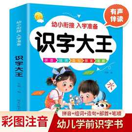 儿童识字大王1000余字幼儿认字神器幼小衔接幼儿园启蒙早教书籍
