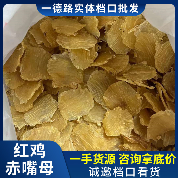 鱼胶干货 红鸡赤嘴 足干A货 赤嘴鱼胶花胶大量批发赤嘴胶花胶批发