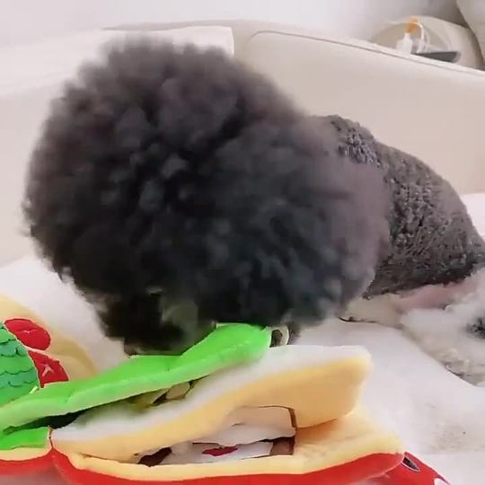 Ins South Korea Dog Toy Book Pet Toy Leak Food Smell Sound Cloth Book Dog Hidden Food Book