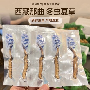 �^�������������x�Ĳ����r�x�ݸɲݶY�иߺ������r���x�Ĳ����l