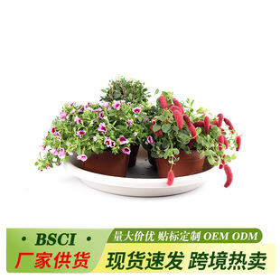 �A�����ϻ����бP �Ӻ��؟����е׵�  �ɴ�����������ˮ�P