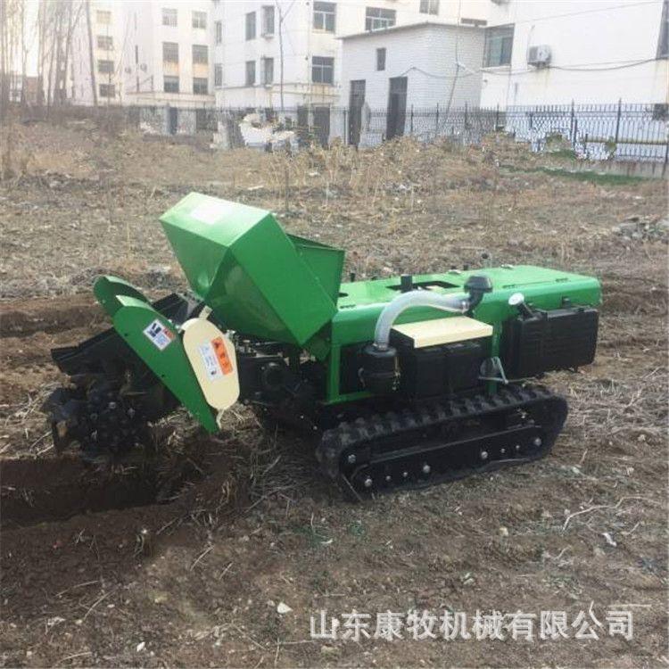 u=170224588,3896029709&fm=