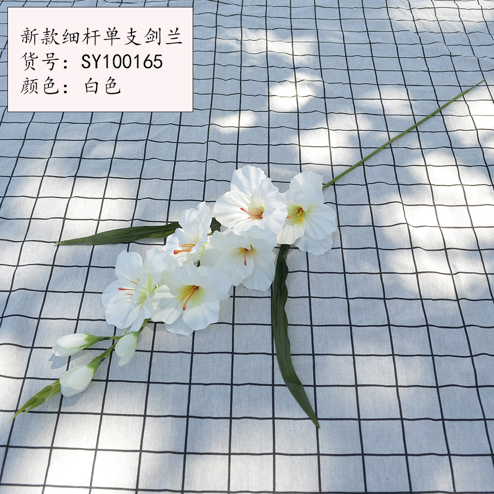 새로운 얇은 막대 단일 스피어 글라디올러스 흰색