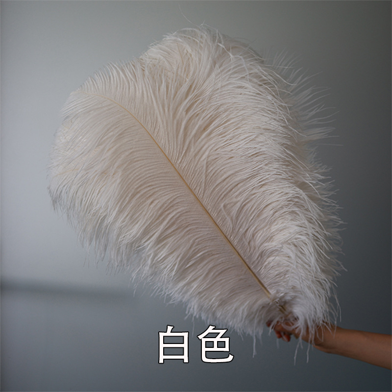 Fabricantes de pelaje de avestruz 50 - 55CM boda guía de la mesa flor de plumas de avestruz adornos de red pared roja plumas de espectáculo de escenario image 7