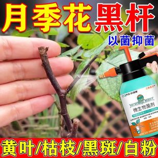 �¼�����֦�ڗU�����÷��A���S�~���~�����ڰ߰׷۲�������`����