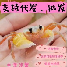 ���Aɳз����зɳз���挙������з���ˌ���ľ�з���Bҹ�Д[��