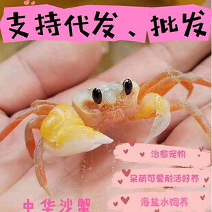 ���Aɳз����зɳз���挙������з���ˌ���ľ�з���Bҹ�Д[��