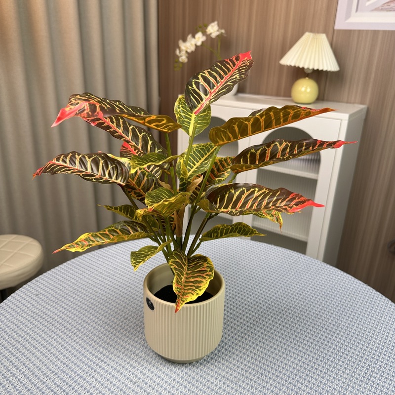 シミュレーション緑植単枝束ブラジル木楡樹葉室内装飾造景竹葵客間装飾シミュレーション植物|undefined