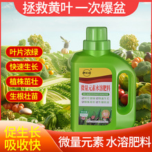 ֲ��΢��Ԫ��ˮ����Һ�I�BҺ�@ˇ��ˮ�����Ի��ܾG�}ֲ���������l