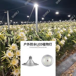 15�߻��������L�� �̼��_�� �X�Ͻ��⚤  E26��E27���^ LEDȫ���V