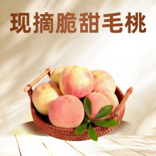 现货当季现摘应季毛桃新鲜水果孕妇脆桃水蜜桃冬桃红桃子整箱包邮