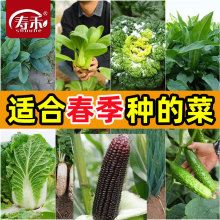 ߲˷NӷNѷNѸNmϴNĲļ˴ȫﶬ