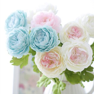 ���滨��ș�ٻ�¶ɏ�Gֲ��ĵ�����^������c���컨�x�����S�N��