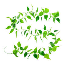 �������ѾGֲ�ٗl�G�}�������ϼٻ������b��ٵ�픹ܵ��҃���