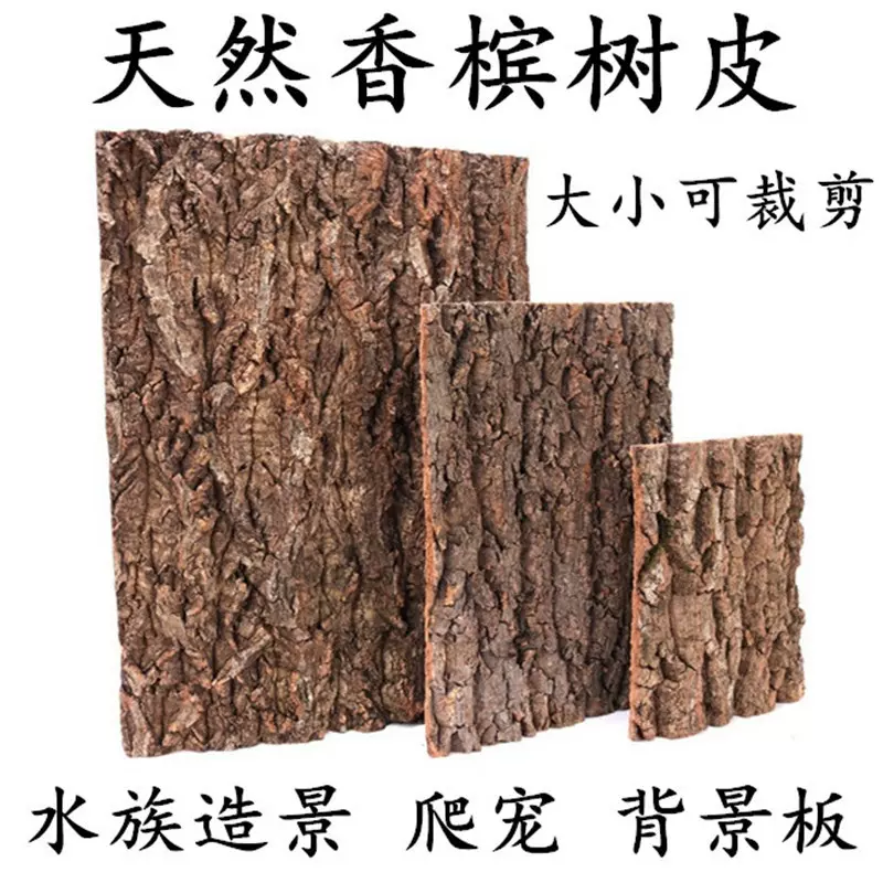 香槟真树皮背景板宠物造景装饰绿植墙爬宠箱守宫蜥蜴躲避饲养箱